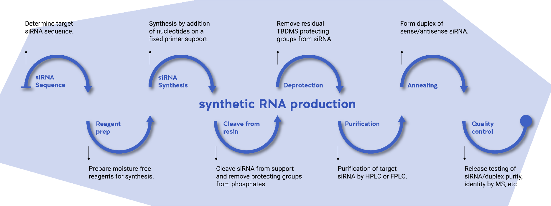 Synthentic RNA Production
